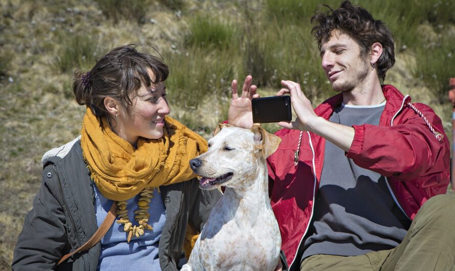 Trouver son âme sœur : un voyage vers le partenaire idéal